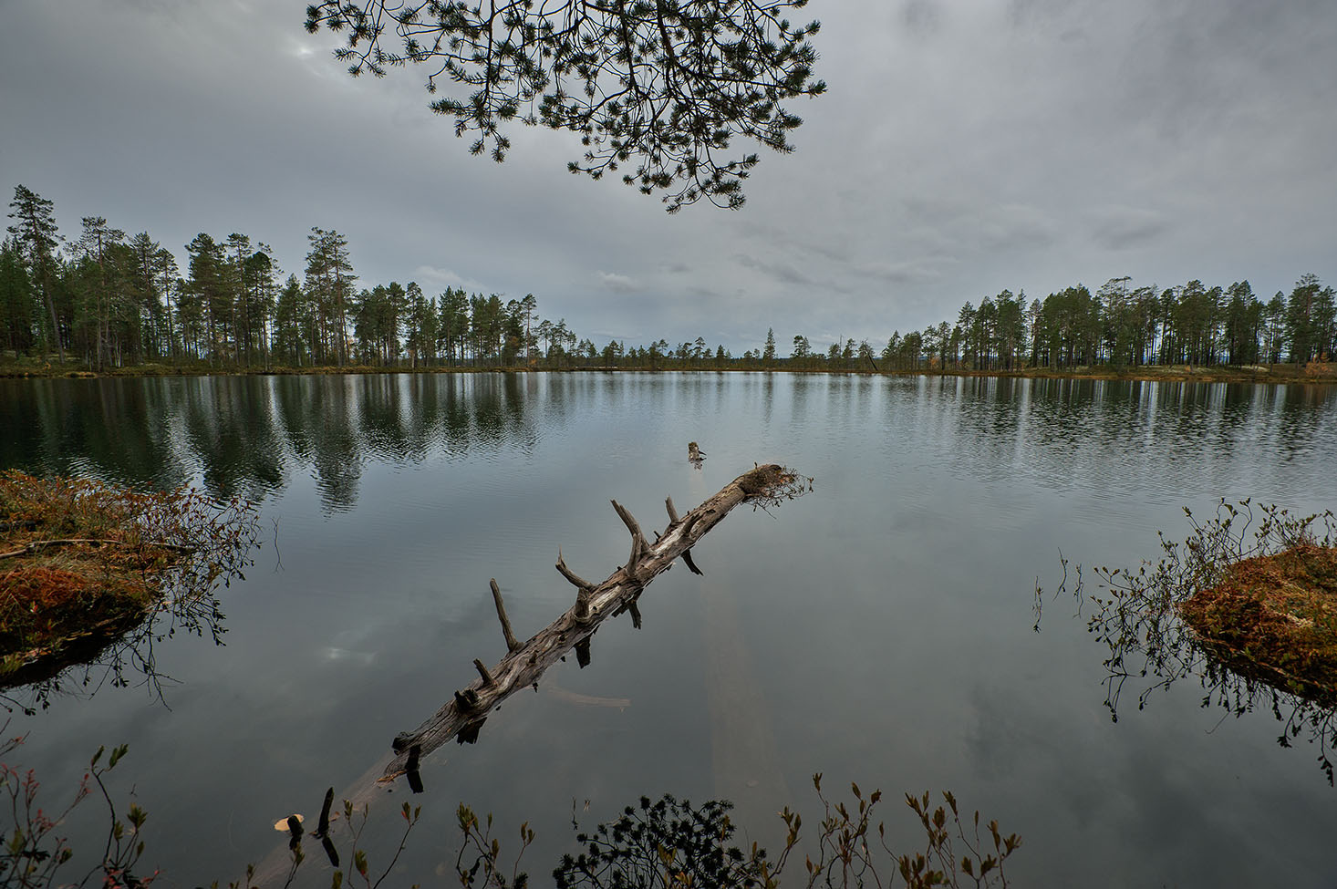 фото "***" метки: пейзаж, природа, Кольский полуостров, вода, лес