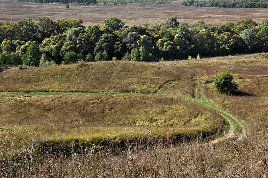 photo "***" tags: landscape, field, forest, road