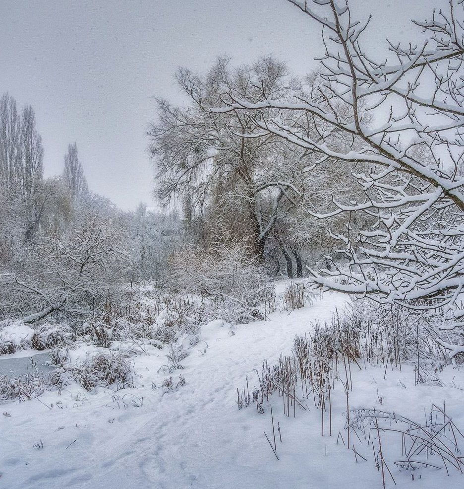 фото "Про снег , которого уж нет..." метки: пейзаж, природа, панорама, вечер, парк, речка природа, снег