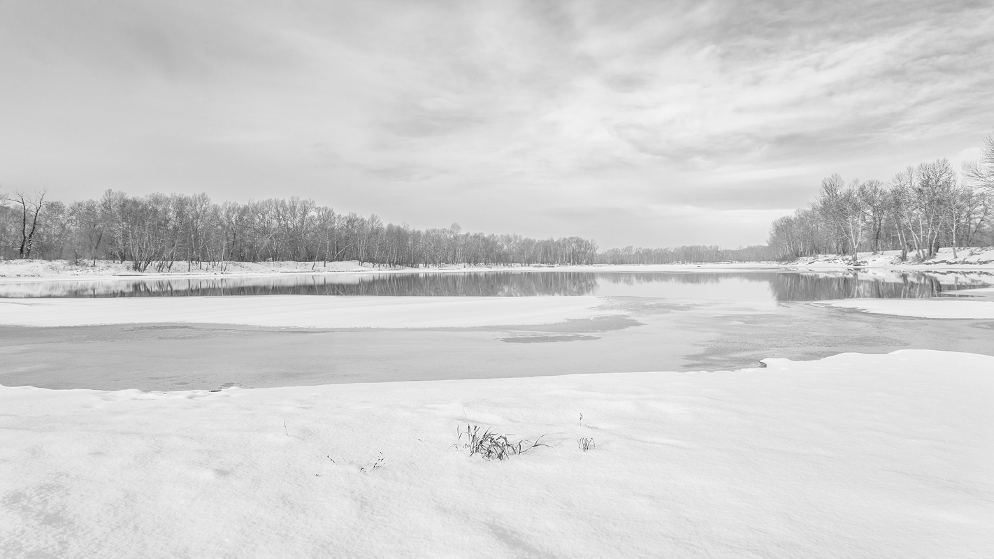 фото "Про тёплый декабрь" метки: пейзаж, природа, черно-белые, 