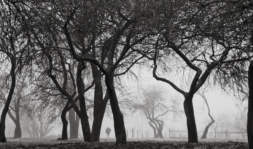 photo "The man in the park" tags: landscape, nature, black&white, 