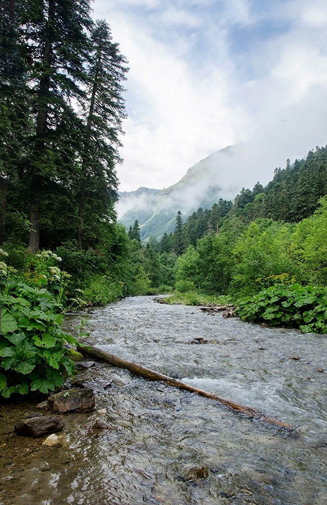 photo "***" tags: landscape, 