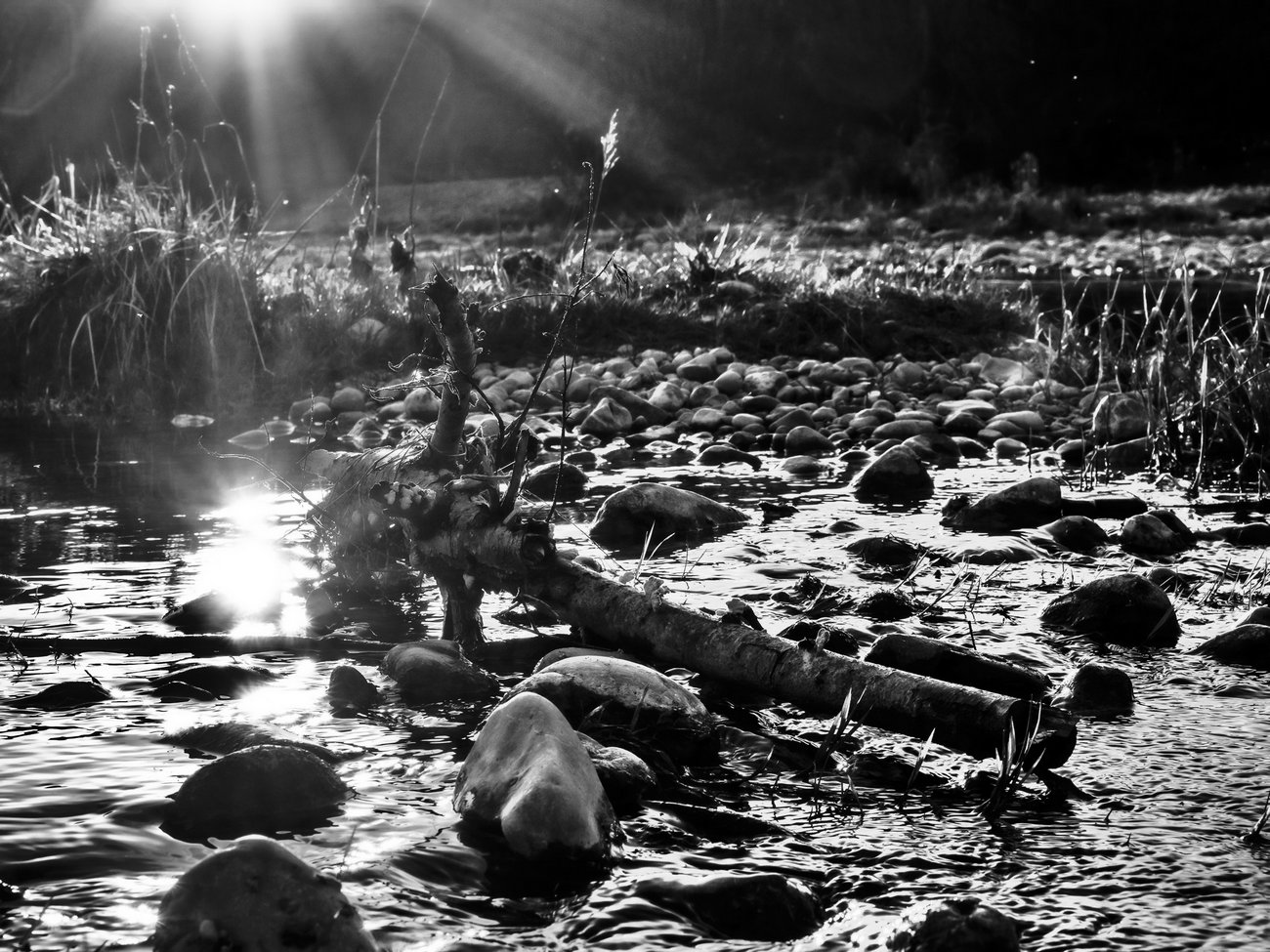 photo "Isar" tags: landscape, black&white, river, water, winter