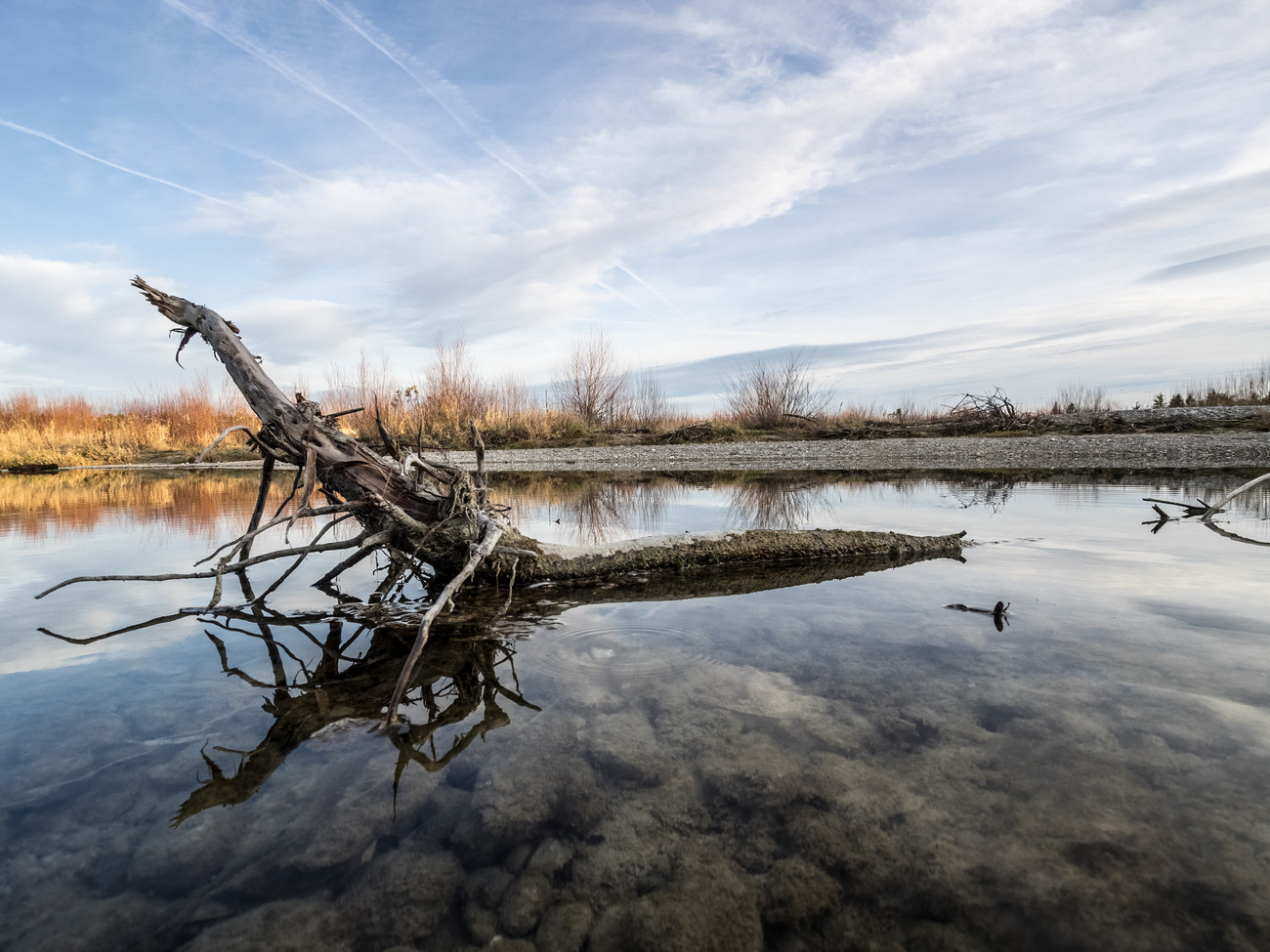 фото "Isar" метки: пейзаж, вода, зима, река