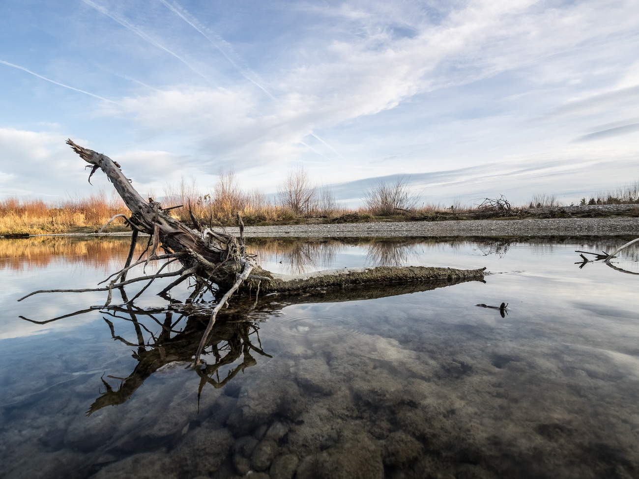 photo "Isar" tags: landscape, river, water, winter