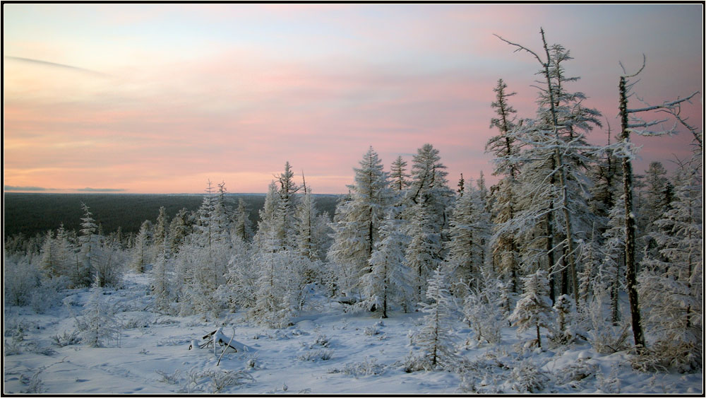 Далекий северный край. Зимний пейзаж Якутии. Западносибирская Тайга зимой. Окраины Сибири.
