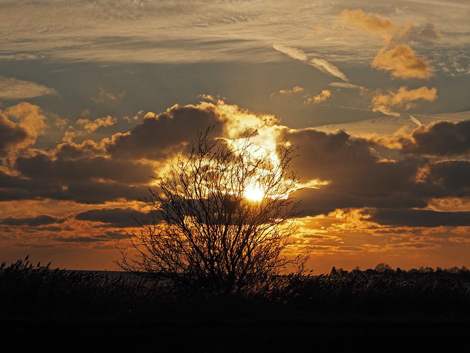 фото "Late November Sun" метки: природа, пейзаж, репортаж, 