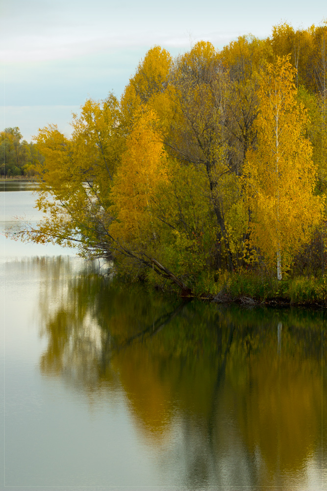 photo "***" tags: landscape, forest, river, Красноярский край, деревья