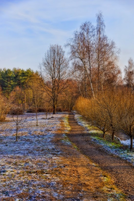 photo "***" tags: landscape, travel, autumn, Тропинка, ноябрь