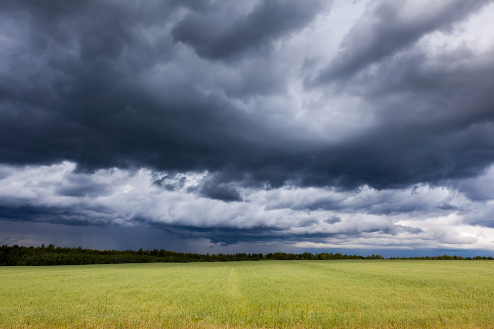 photo "Before the Storm" tags: landscape, nature, field, sky, summer, гроза, погода, простор, тучи, хмурое