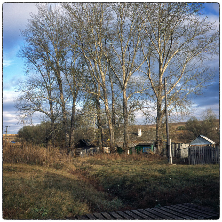 photo "Poplars" tags: landscape, 120, 6x6, FUJICHROME Provia 100 F, TLR, Yashica Mat Em