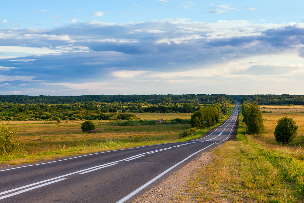 photo "The Path" tags: landscape, travel, road, summer, перспектива, путь