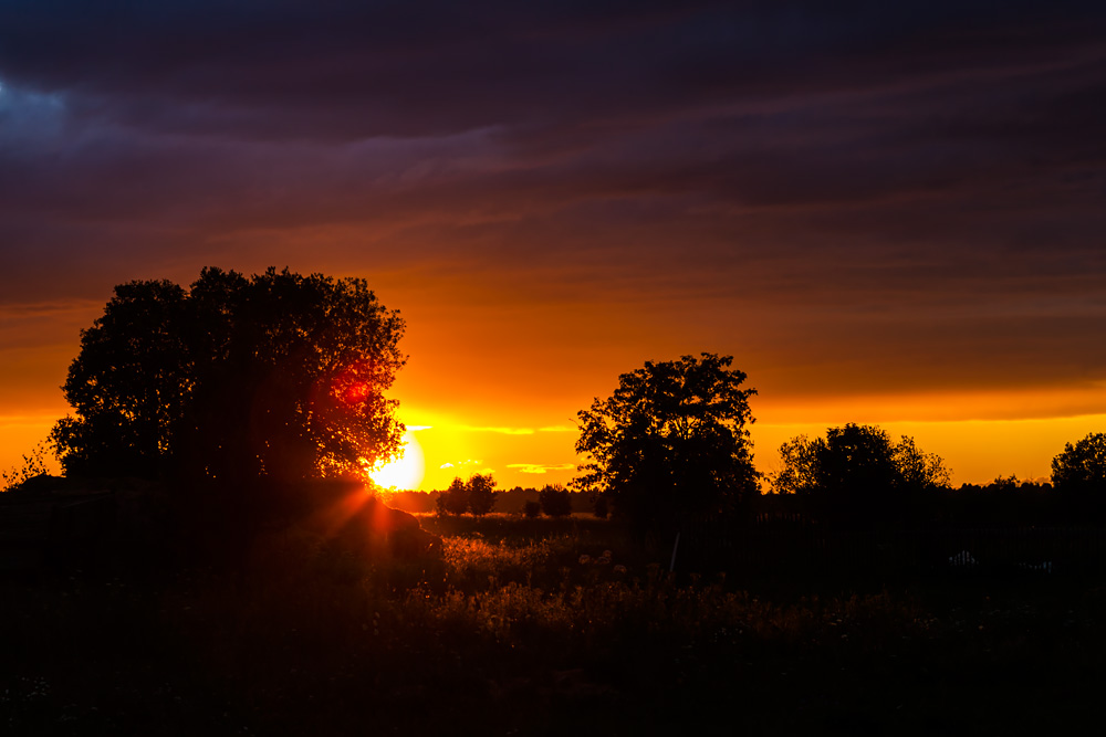 photo "Sunset in the countryside" tags: landscape, nature, evening, sky, summer, sun, sunset, деревня, спокойствие