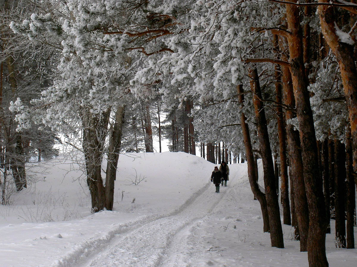 фото "Русская зима" метки: пейзаж, природа, 