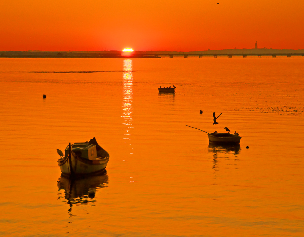 фото "Estuary Sunset" метки: пейзаж, природа, путешествия, Europe, Tagus, Tejo, birds, estuary, gold, portugal, вода, закат, река