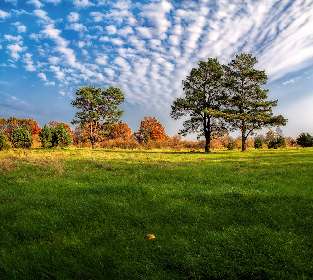 photo "***" tags: landscape, nature, октябрь, полдень, р. Неман