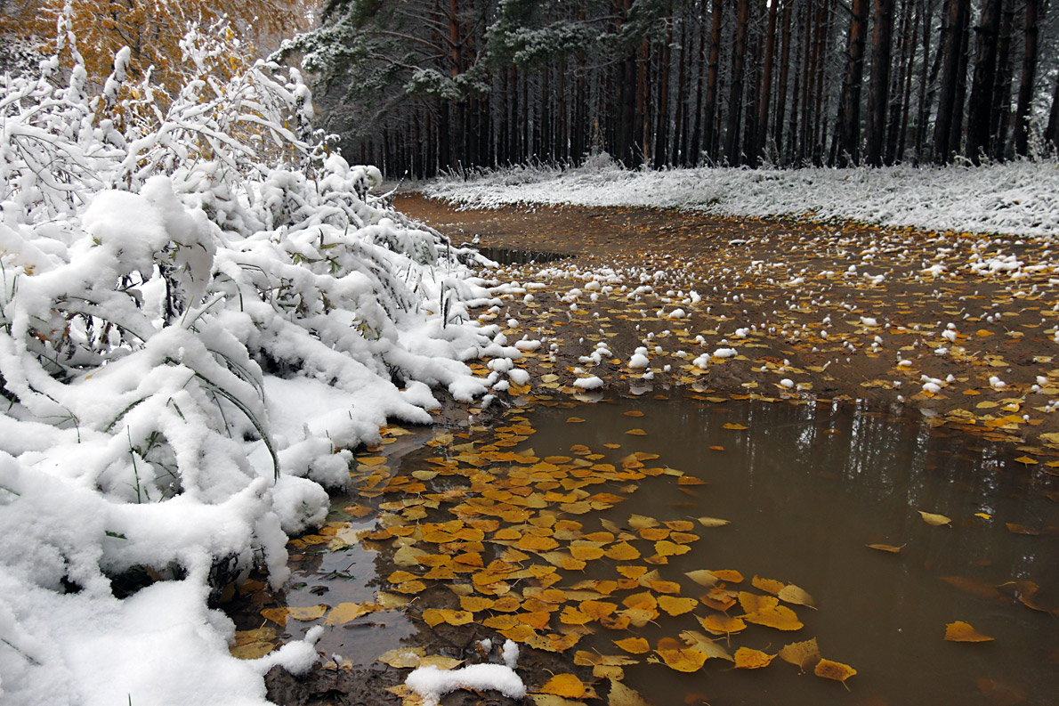 photo "***" tags: nature, landscape, 