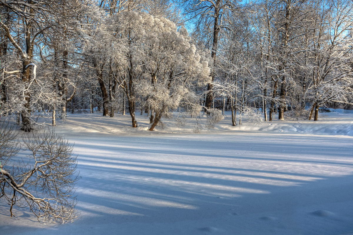 photo "Shadows" tags: landscape, snow, зима. тени