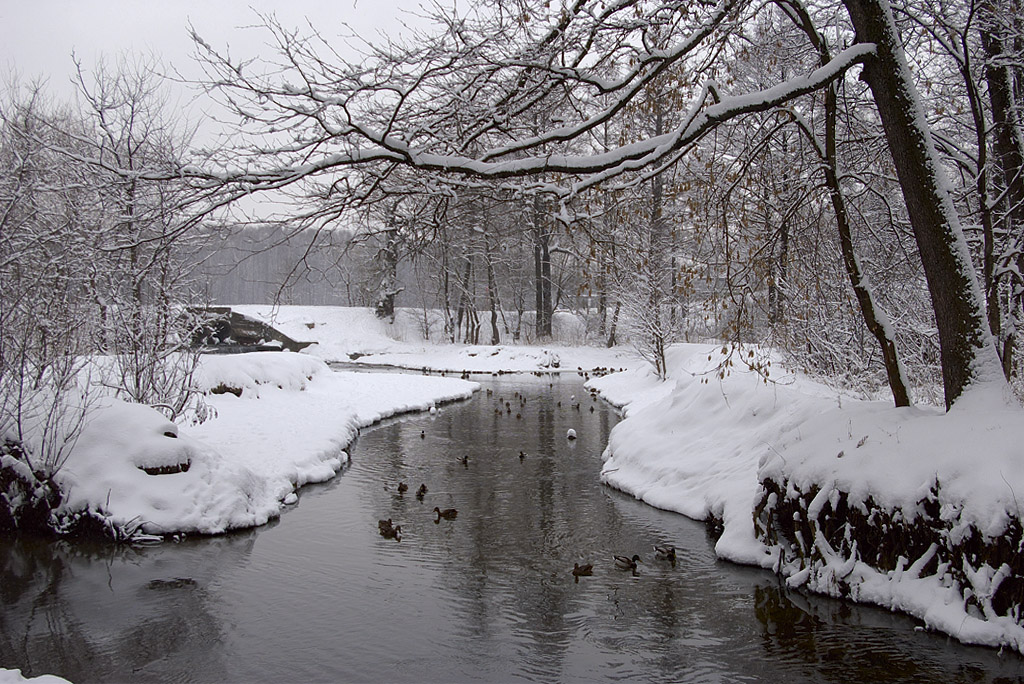 photo "***" tags: landscape, city, nature, 