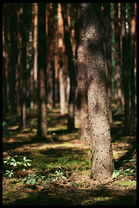 photo "***" tags: nature, landscape, 