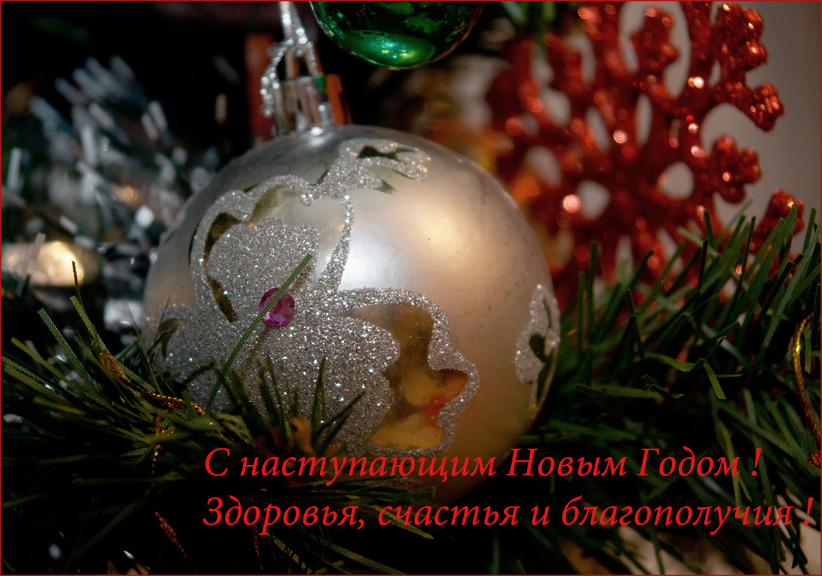 photo "Happy New Year !" tags: misc., 