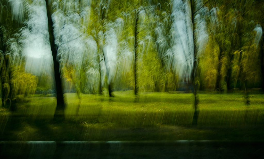 фото "Утро в парке" метки: пейзаж, природа, разное, 