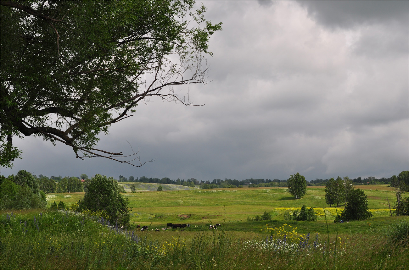 photo "***" tags: landscape, travel, 