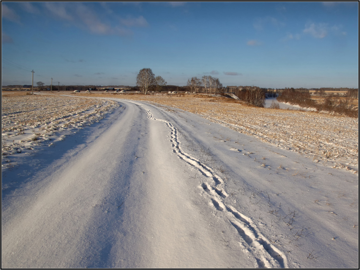 photo "***" tags: landscape, nature, winter, собаки