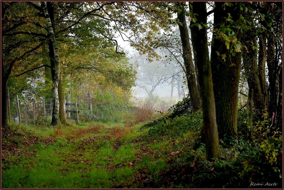 photo "***" tags: landscape, nature, 