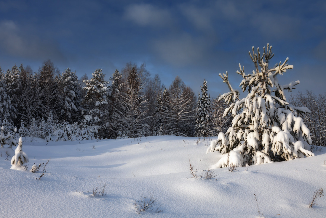 photo "***" tags: landscape, forest, sky, snow, winter, елки, мороз, сугробы