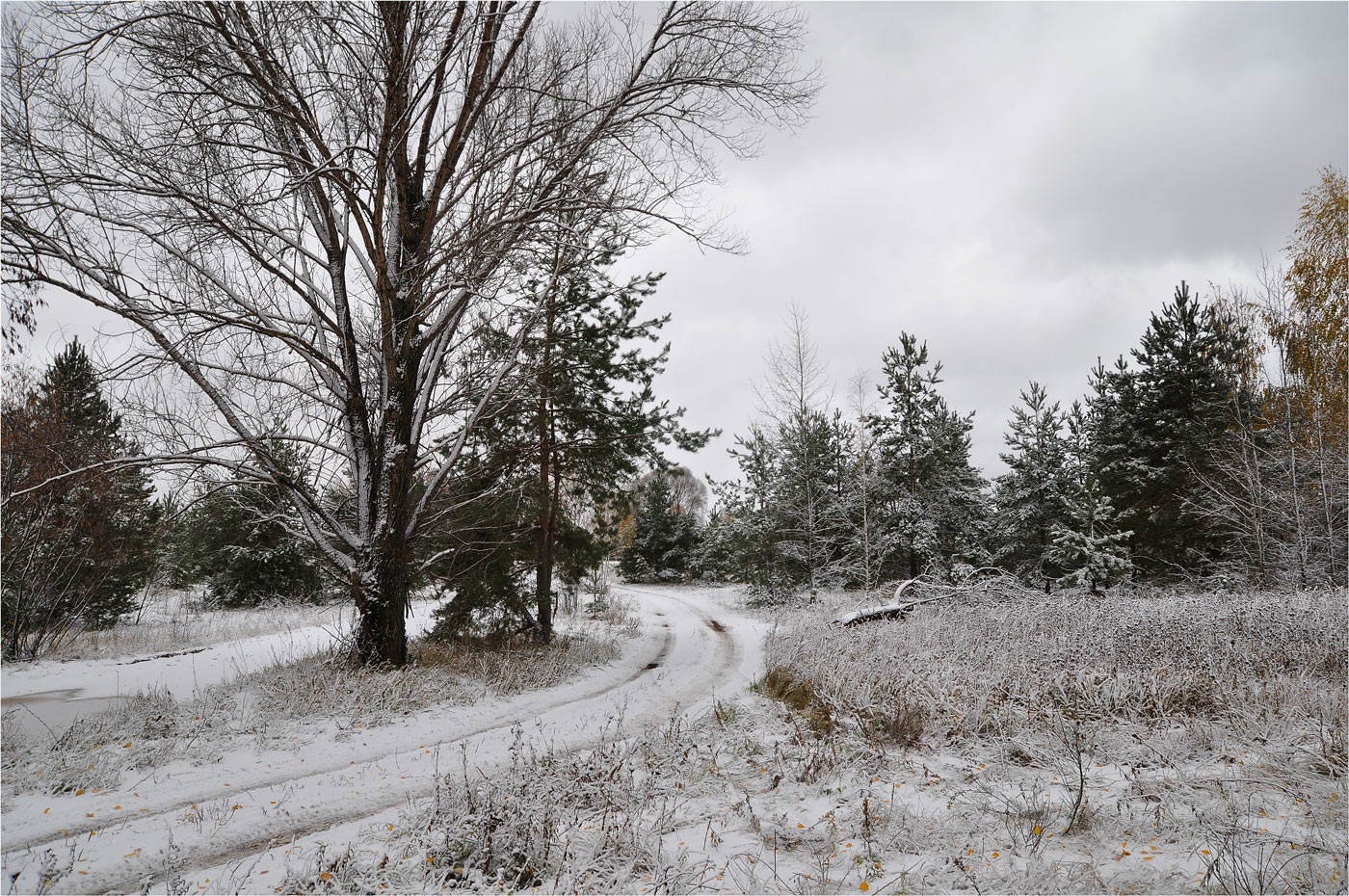 photo "***" tags: landscape, nature, travel, 