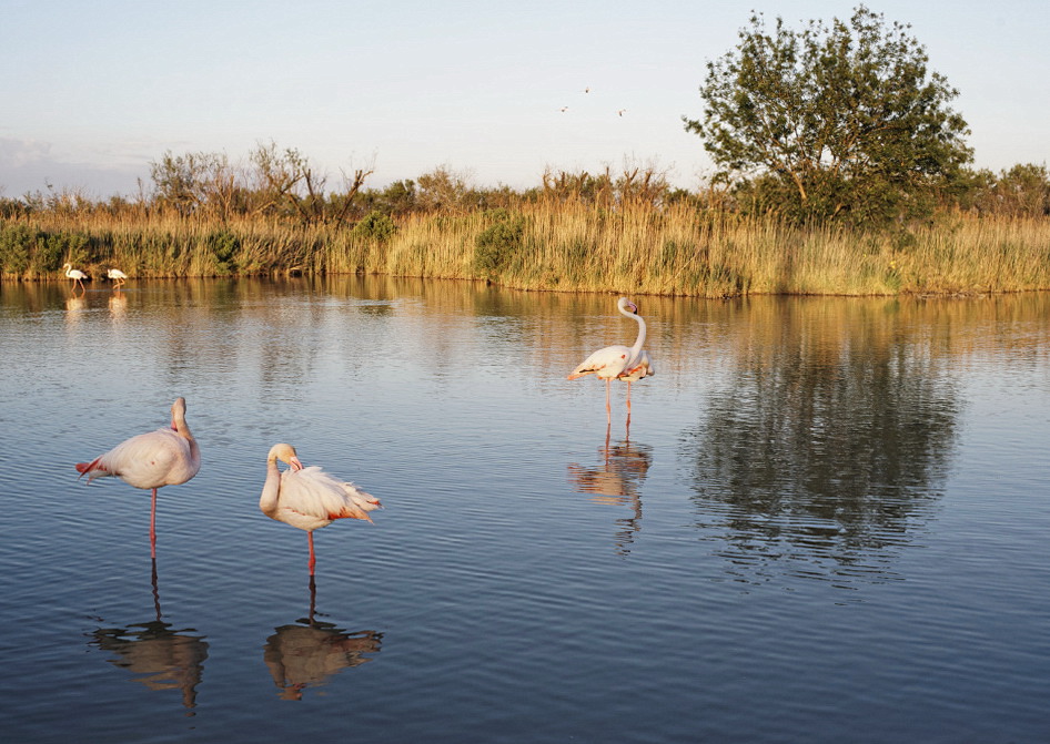 photo "***" tags: landscape, 