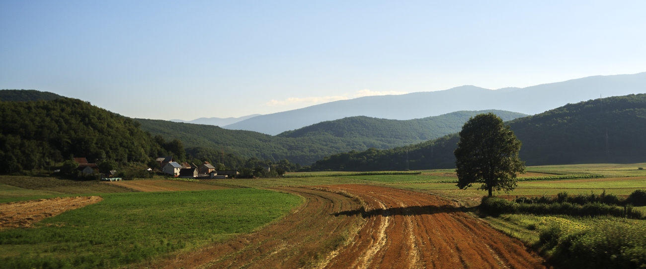 photo "***" tags: landscape, evening, summer