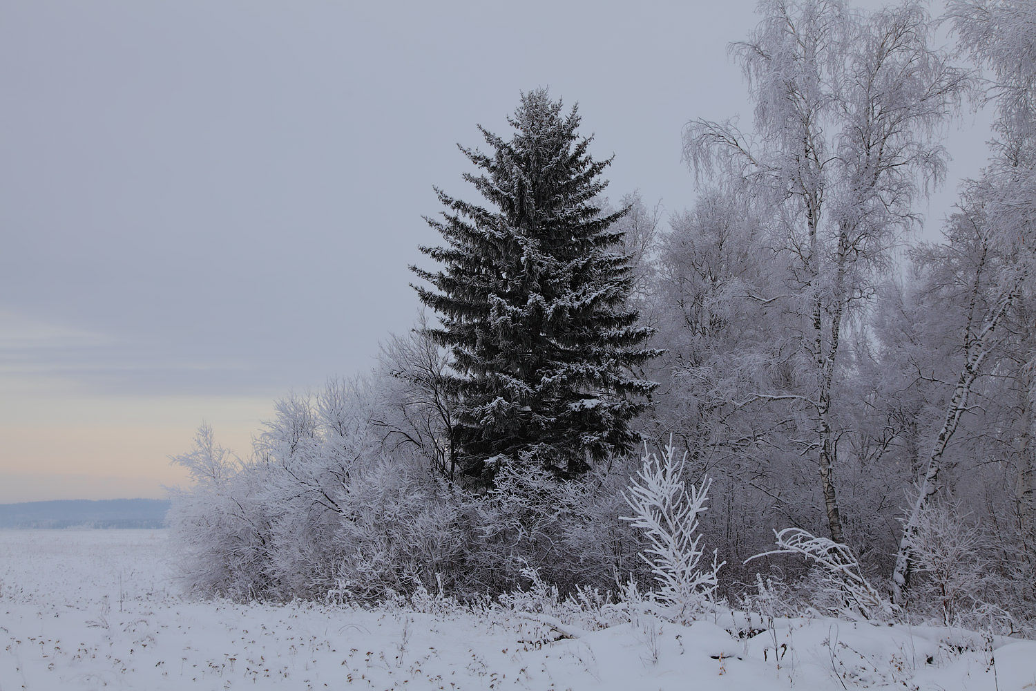 photo "***" tags: landscape, winter