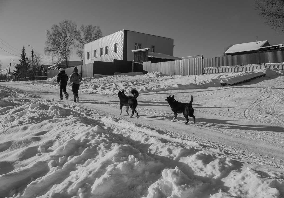 photo "Escort" tags: street, genre, black&white, girls, snow, winter, деревенская улица, деревенские дома, деревня, собаки