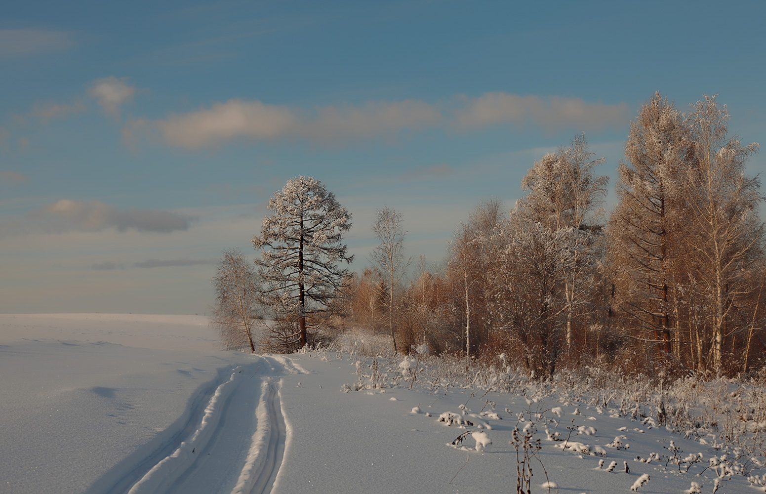 photo "***" tags: landscape, winter