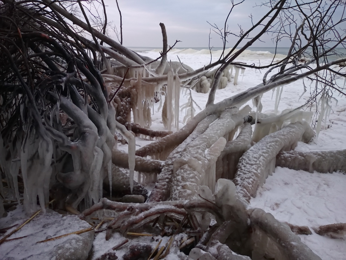 photo "Beach froze" tags: travel, nature, Финский залив пляж Сака