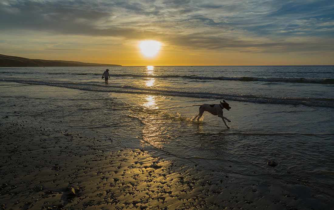 photo "***" tags: landscape, nature, beach, clouds sand, dog, ocean, rocks, sea, sky, sun, sunset, walking