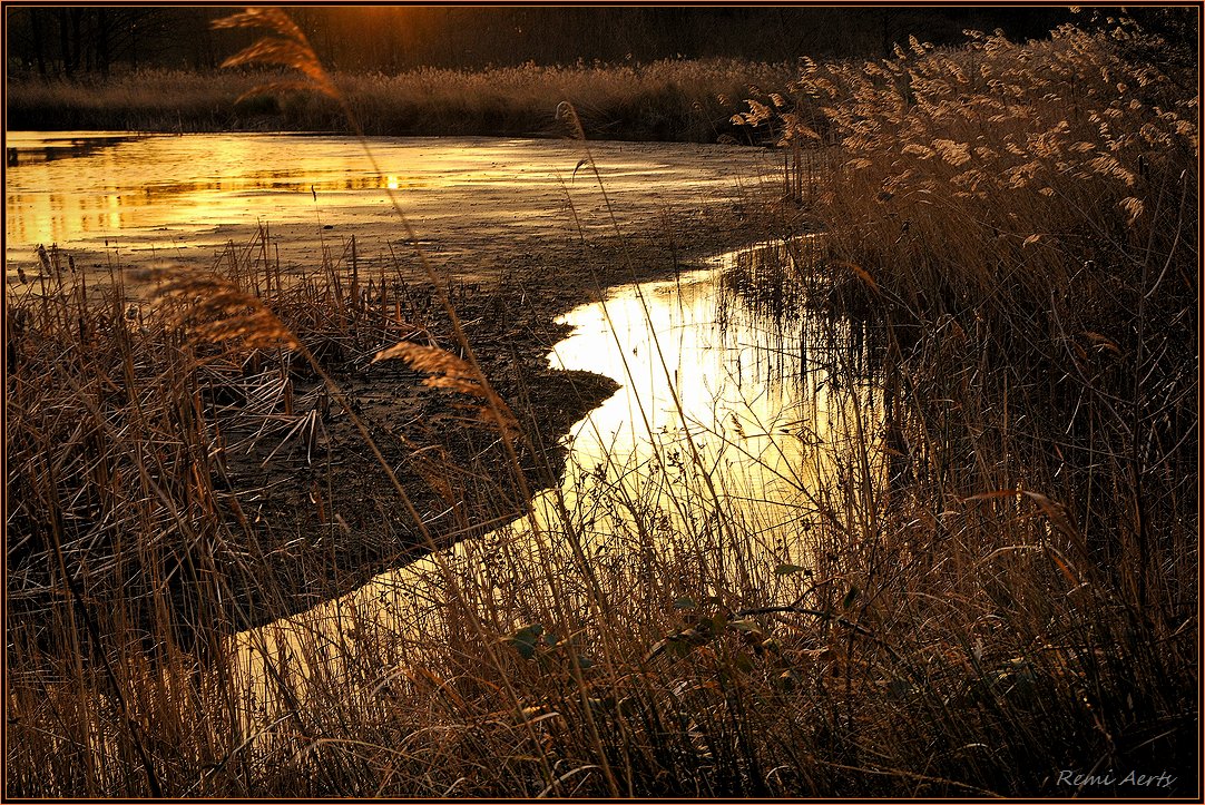 photo "***" tags: landscape, nature, 