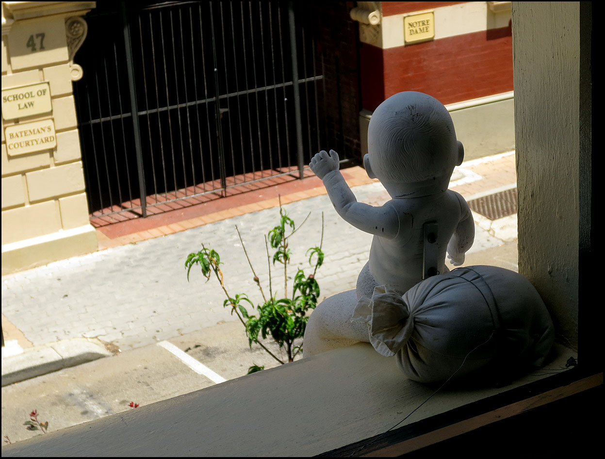 photo "Hello there ..." tags: humor, 