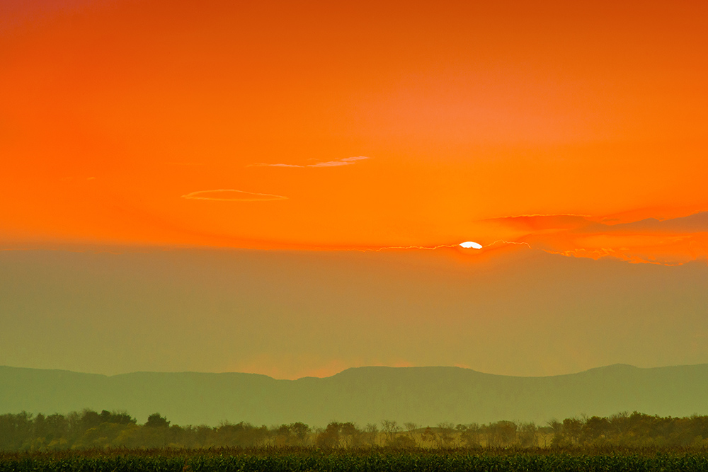 photo "***" tags: nature, landscape, field, sky, природа