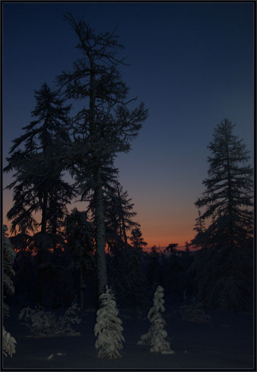 photo "***" tags: landscape, sunrise, sunset, taiga, мороз