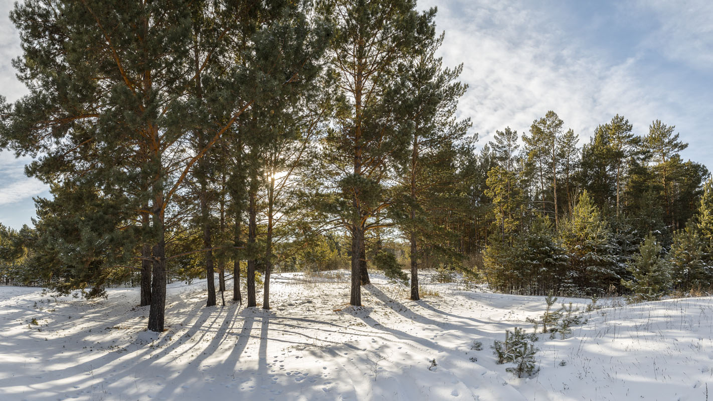 photo "***" tags: landscape, nature, 