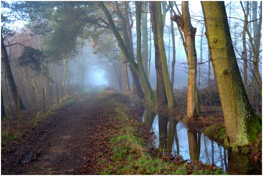 photo "***" tags: landscape, nature, street, 