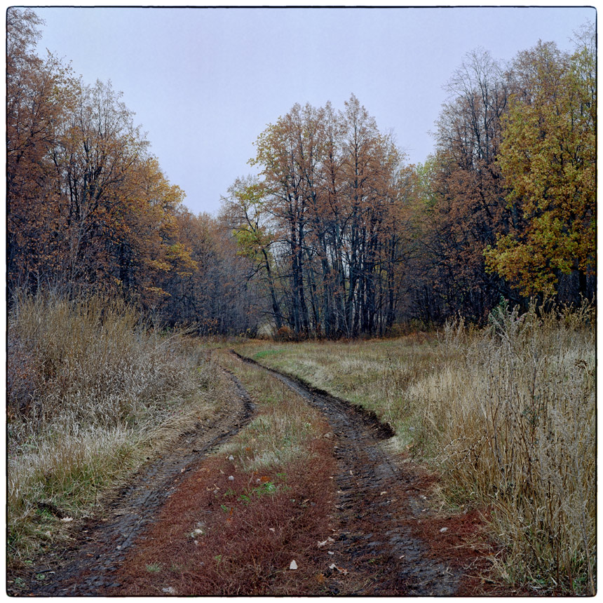 photo "***" tags: nature, 120, 6x6, Kodak Ektar 100, TLR, Yashica Mat Em