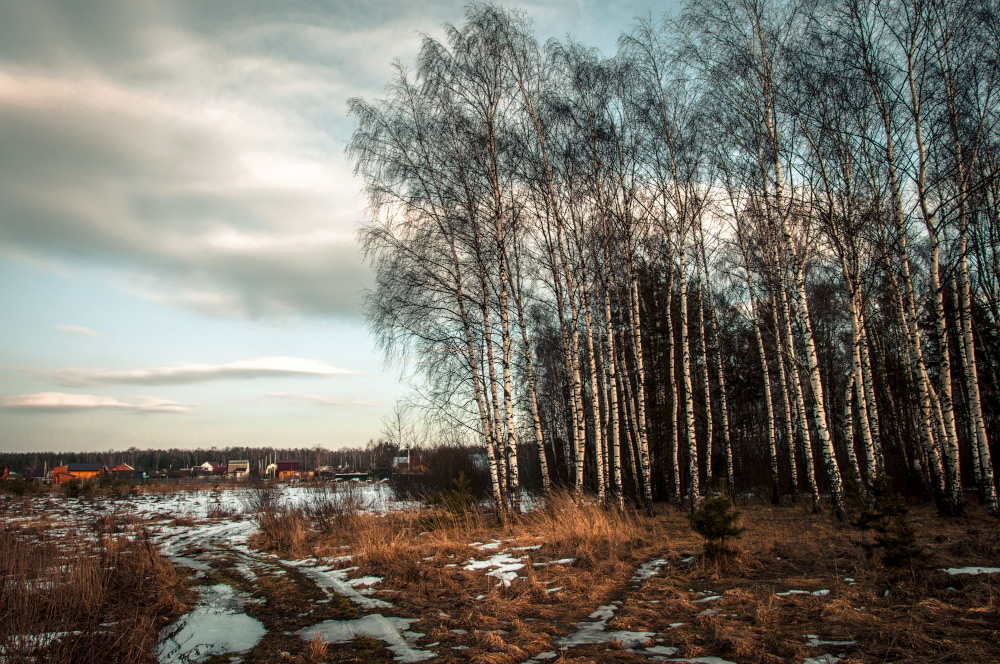 photo "***" tags: nature, clouds, forest, sky, spring, деревня