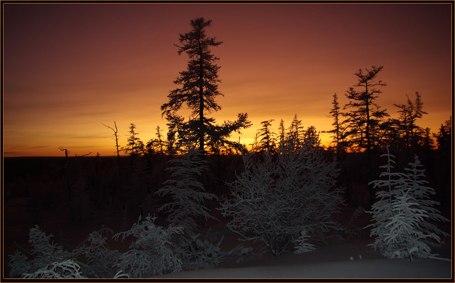 photo "***" tags: landscape, sunrise, sunset, taiga, Якутия