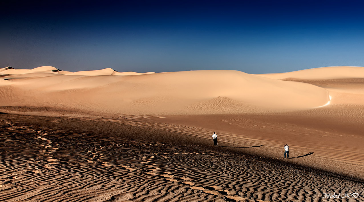 photo "Trace the foot-prints..." tags: landscape, travel, nature, Africa, desert