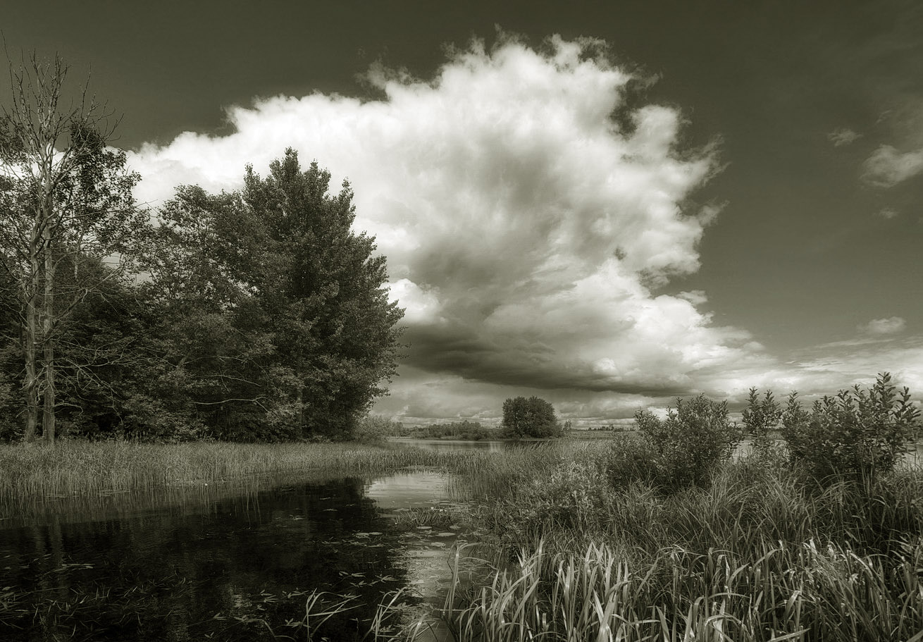 фото "Про мохнатое облако" метки: пейзаж, черно-белые, 
