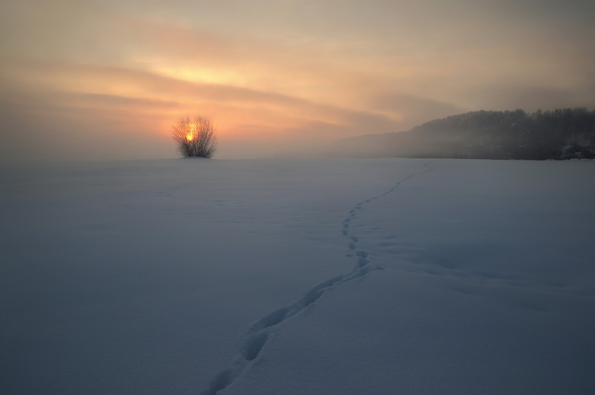 photo "***" tags: landscape, morning, winter